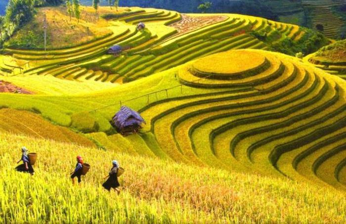 Hong Minh Guesthouse Mu Cang Chai Экстерьер фото